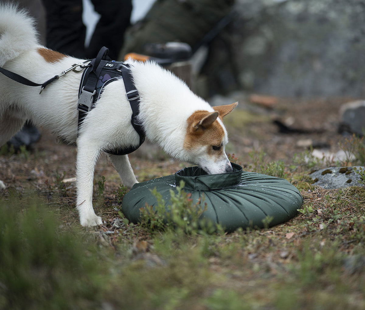 Savotta Water Bag