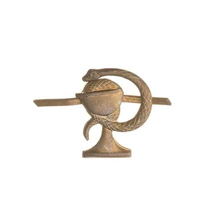 Czechoslovakian Branch Insignia, Metal, Surplus