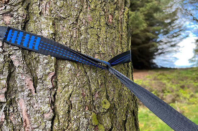 Wrap the single-looped end round the tree. Pass the end with multiple loops through the single loop and pull all slack through the loop.