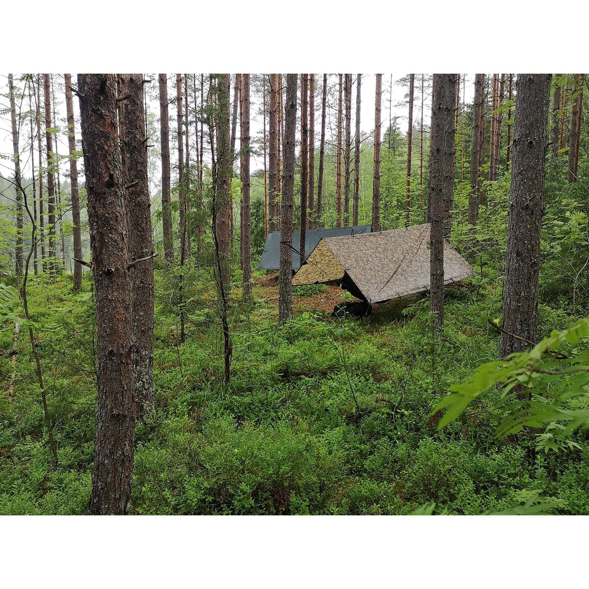 DD Hammocks 3x3 Plane, DD Multicam