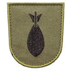 Varusteleka M05 training branch insignia, subdued