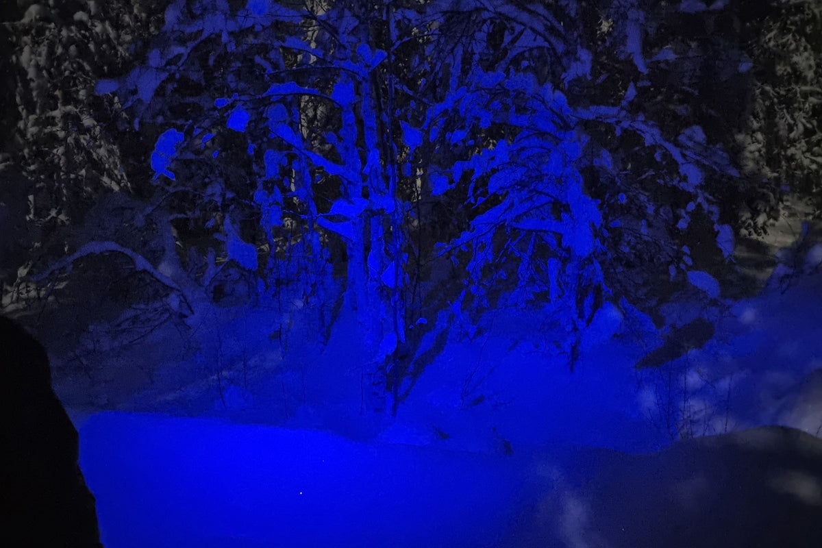 Petzl Aria 2 RGB headlamp