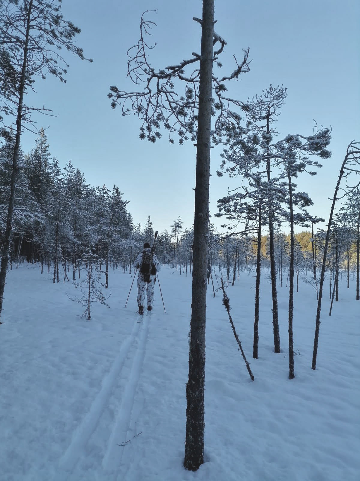 Särmä TST L7 Naamioanorakki